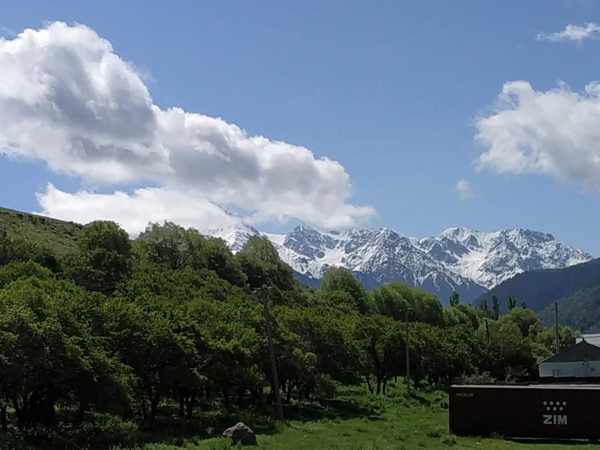Turan Guesthouse Karakol Bagian luar foto