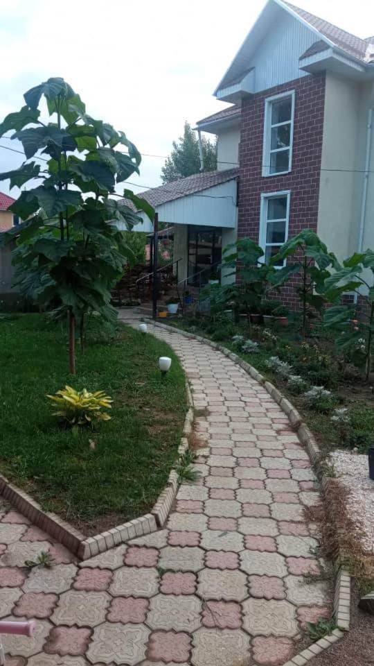 Turan Guesthouse Karakol Bagian luar foto