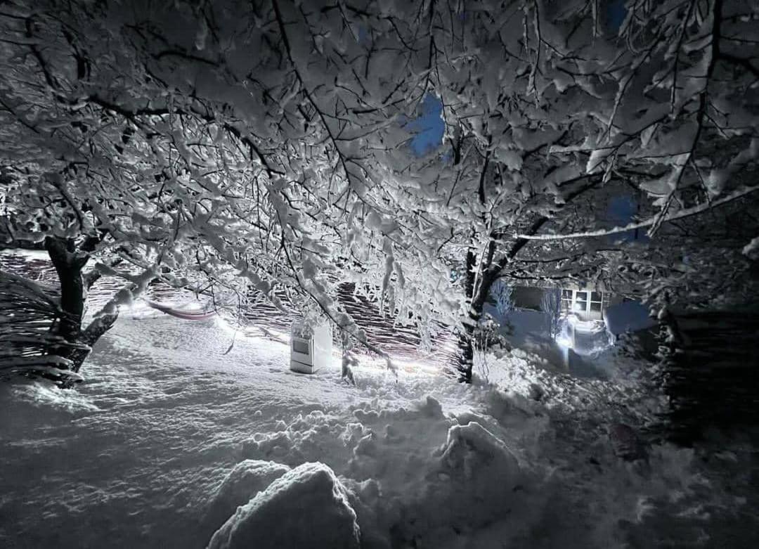 Turan Guesthouse Karakol Bagian luar foto